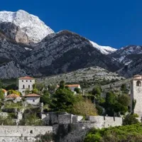 bartula--my-olive-garden-camp-stari-bar-e2fcf