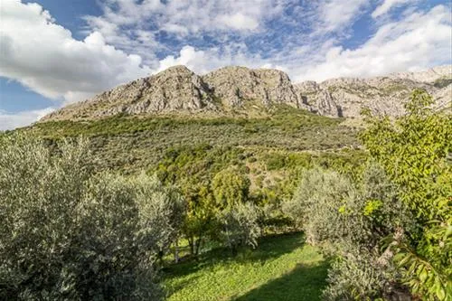 bartula--my-olive-garden-camp-stari-bar-hssfz