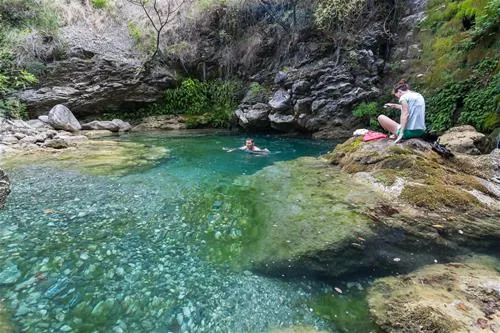 bartula--my-olive-garden-camp-stari-bar-i5k2n