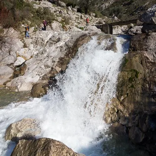 bartula--my-olive-garden-camp-stari-bar-k1rzf