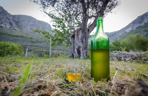 bartula--my-olive-garden-camp-stari-bar-qciq0