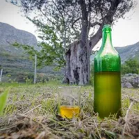 bartula--my-olive-garden-camp-stari-bar-qciq0