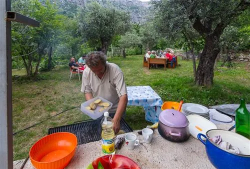 bartula--my-olive-garden-camp-stari-bar-suiwq