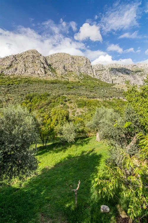 bartula--my-olive-garden-camp-stari-bar-vxtdd