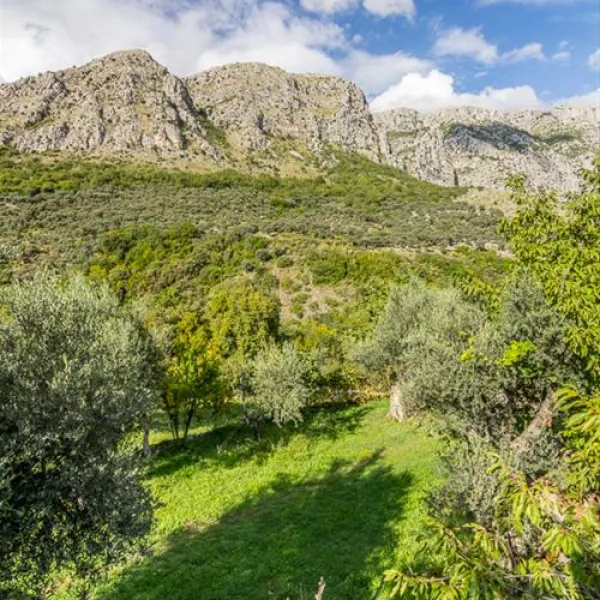 bartula--my-olive-garden-camp-stari-bar-vxtdd