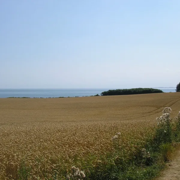 camping-ostseeferienpark-walkyrien-schashagen-ot-bliesdorfstrand-7ghbz