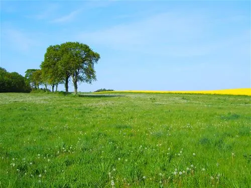 camping-ostseeferienpark-walkyrien-schashagen-ot-bliesdorfstrand-bitvm