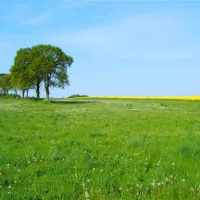 camping-ostseeferienpark-walkyrien-schashagen-ot-bliesdorfstrand-bitvm