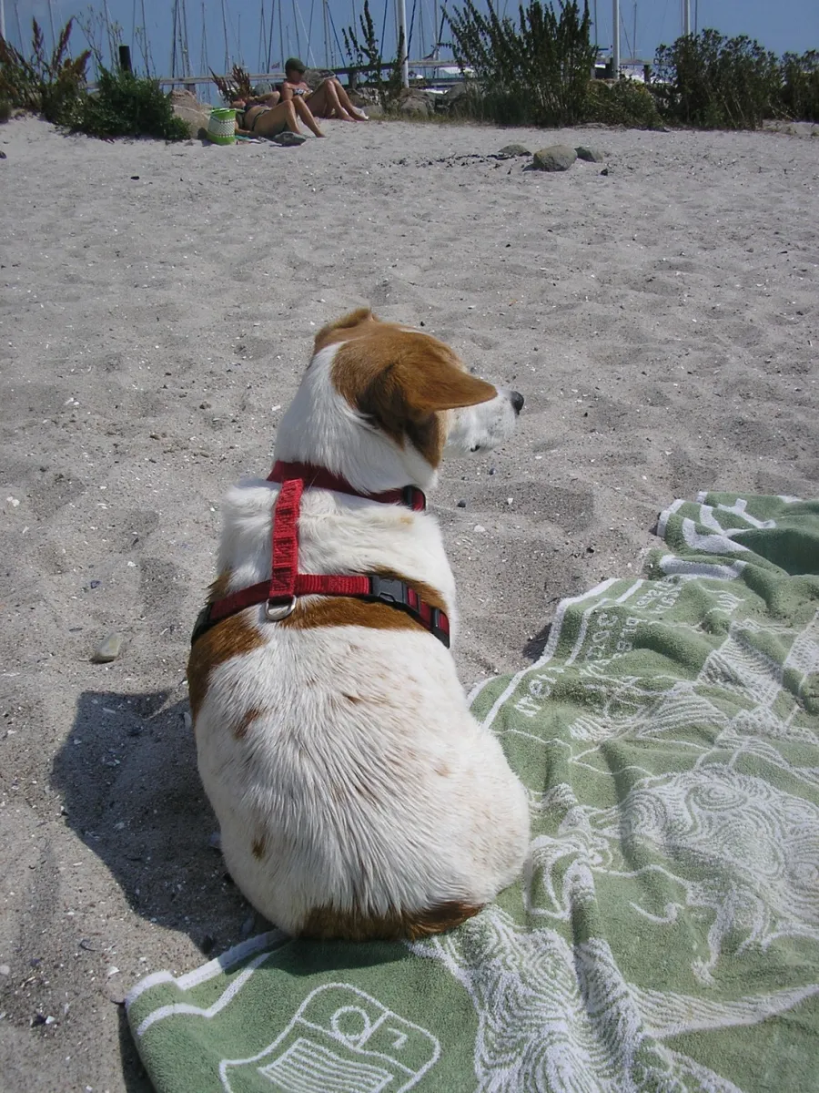 camping-ostseeferienpark-walkyrien-schashagen-ot-bliesdorfstrand-dzulq