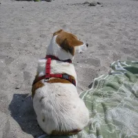 camping-ostseeferienpark-walkyrien-schashagen-ot-bliesdorfstrand-dzulq