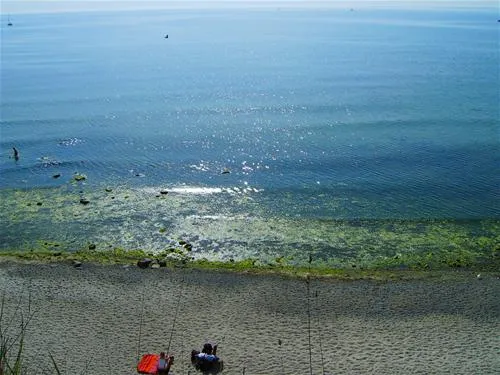 camping-ostseeferienpark-walkyrien-schashagen-ot-bliesdorfstrand-fst8j