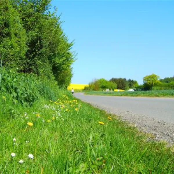 camping-ostseeferienpark-walkyrien-schashagen-ot-bliesdorfstrand-ljvm3