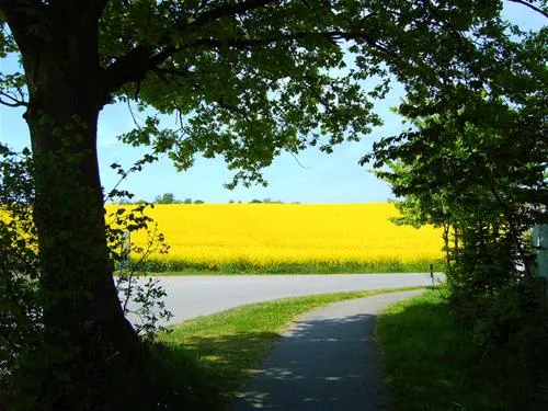 camping-ostseeferienpark-walkyrien-schashagen-ot-bliesdorfstrand-o1vap