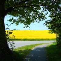 camping-ostseeferienpark-walkyrien-schashagen-ot-bliesdorfstrand-o1vap