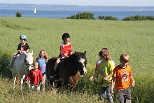 camping-ostseeferienpark-walkyrien-schashagen-ot-bliesdorfstrand-yd1pf