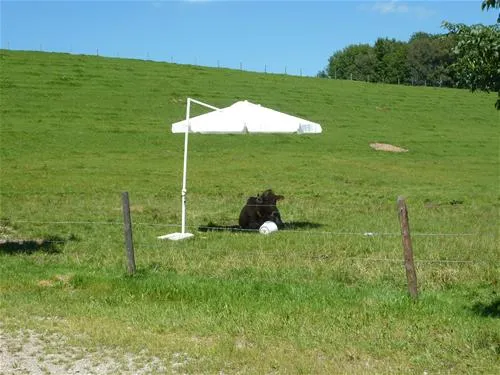 camping-bannwaldsee-schwangau-1jc9b