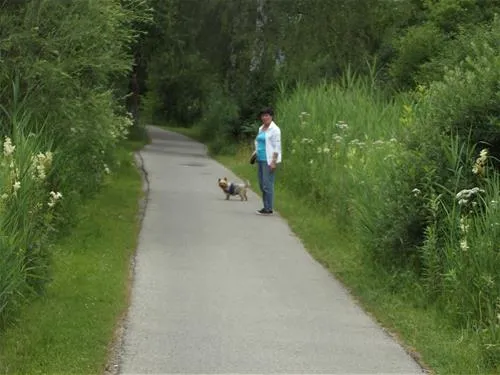 camping-bannwaldsee-schwangau-aygnp