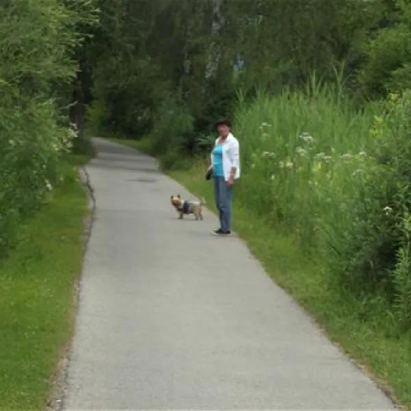 camping-bannwaldsee-schwangau-aygnp