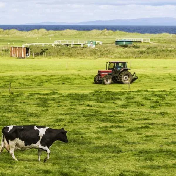 cc-club-site-machrihanish-machrihanish-dd0jx