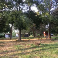 ficajole-taglio-isolaccio-gh5l3