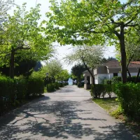 camping-miralago-baitoni-di-bondone-q06fh