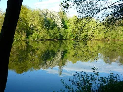 country-camping-schinderhannes-hausbay-4wfjh