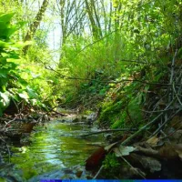 country-camping-schinderhannes-hausbay-ukhec