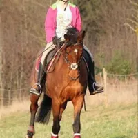 country-camping-schinderhannes-hausbay-yvxwa
