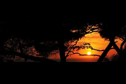 camping-delle-rose-isolabona-0u0tc