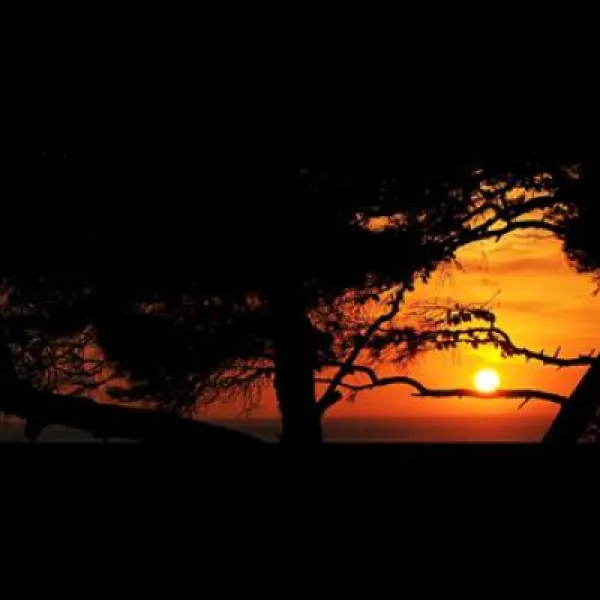 camping-delle-rose-isolabona-0u0tc
