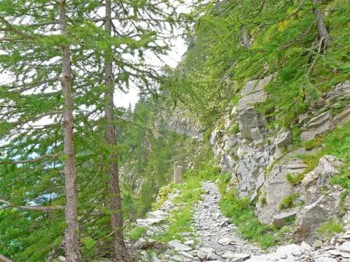 camping-delle-rose-isolabona-d5nmo