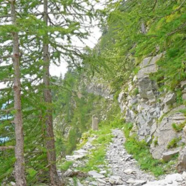 camping-delle-rose-isolabona-d5nmo