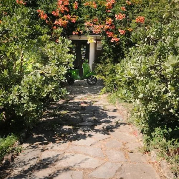 camping-delle-rose-isolabona-fjyqi