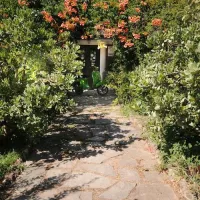 camping-delle-rose-isolabona-fjyqi