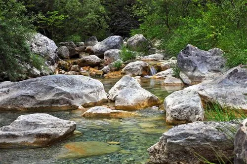 camping-delle-rose-isolabona-judhi