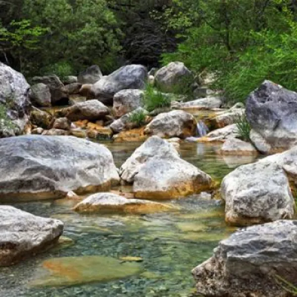 camping-delle-rose-isolabona-judhi