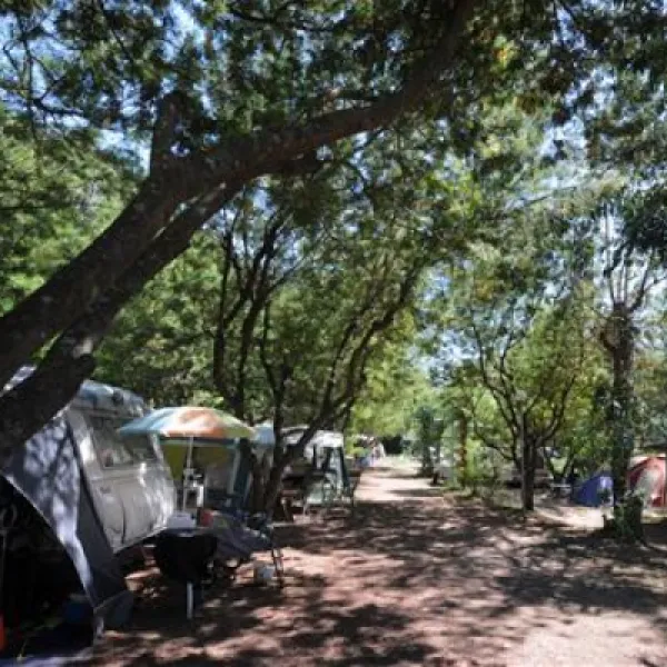 camping-delle-rose-isolabona-nxmpp