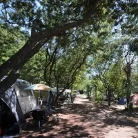 camping-delle-rose-isolabona-nxmpp