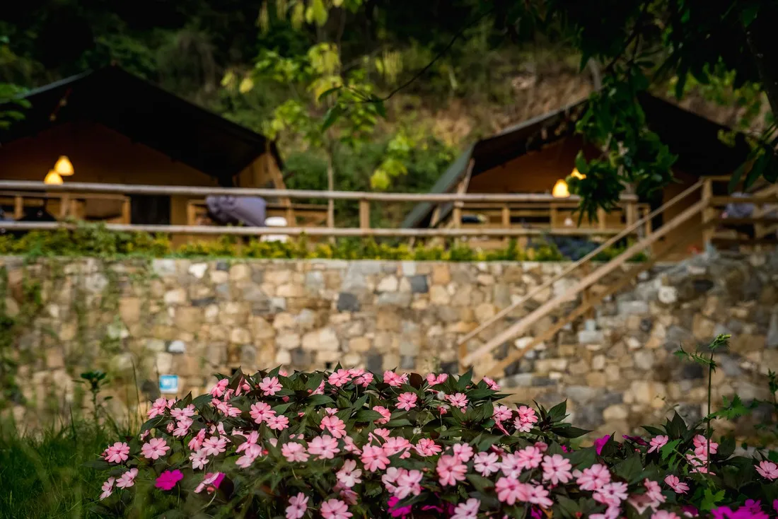 camping-delle-rose-isolabona-tsidh