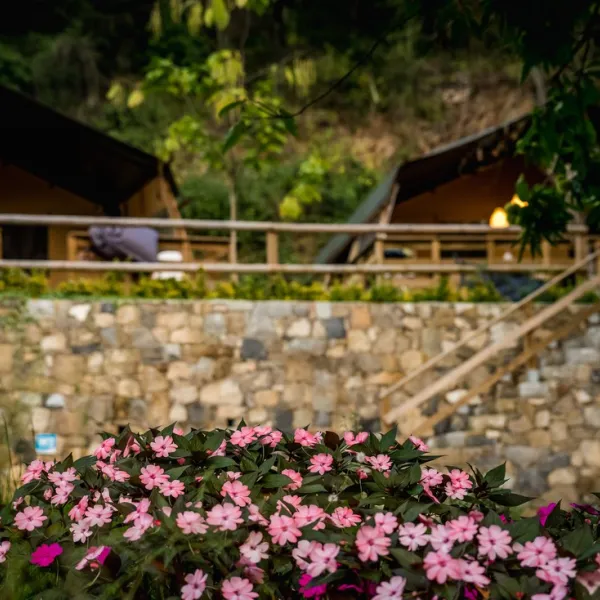 camping-delle-rose-isolabona-tsidh