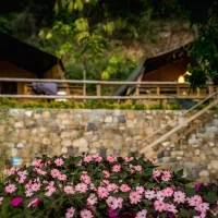 camping-delle-rose-isolabona-tsidh