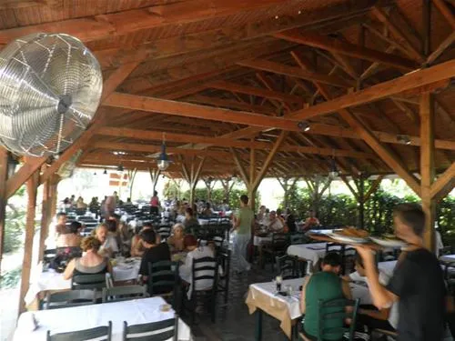 camping-alikes-ammouliani-island-lkilc