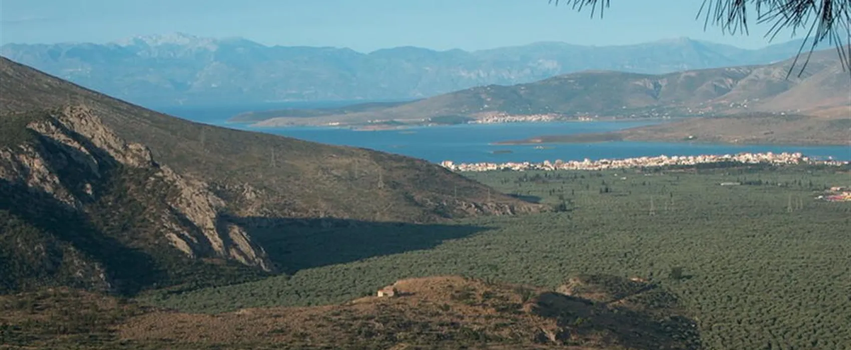 Campsite Delphi