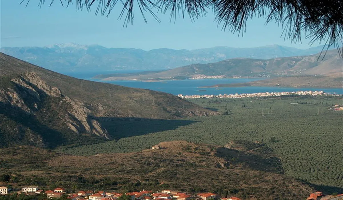 campsite-delphi-delphi-mujni