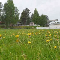ladrike-camping-norrfjrden-h9s3w