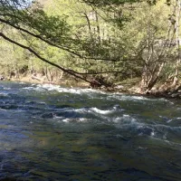 Camping aire naturelle Campita