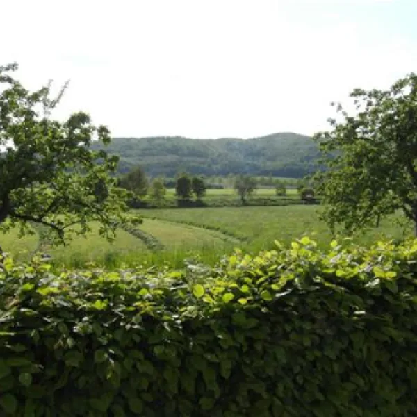 wesercamping-hemeln-hann-mnden-ot-hemeln-v7e8i