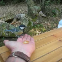 camping-santa-lucia-sainte-lucie-de-porto-vecchio-zusdf