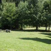 seecamping-ottenstein-am-stausee-ottenstein-rastenfeld-npbo9
