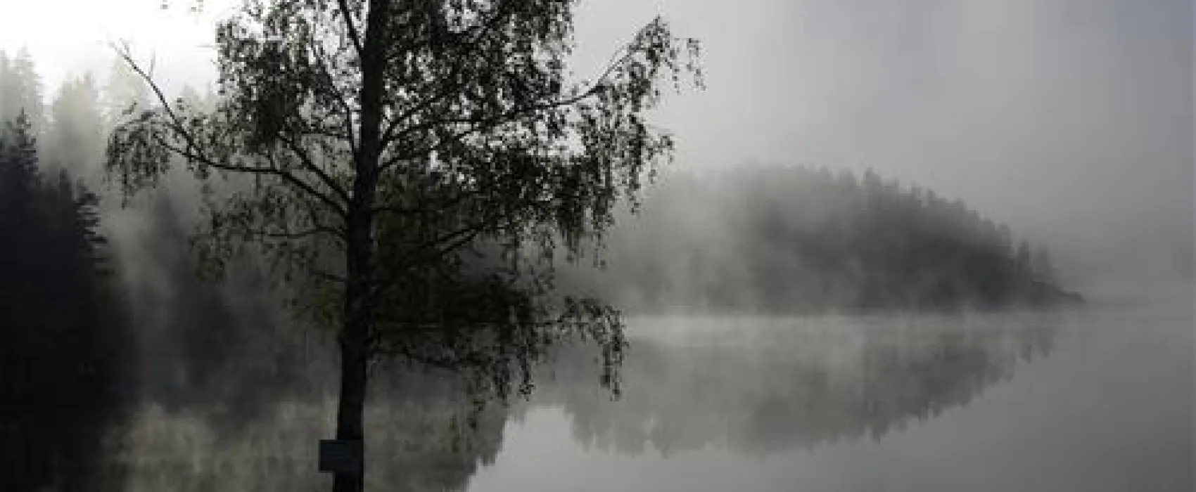 Seecamping Ottenstein am Stausee Ottenstein